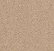 Линолеум Forbo Bulletin Board 2186 blanched almond фото 1 | FLOORDEALER